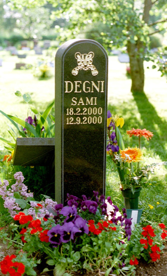 Musta graniitti - 20x70 cm