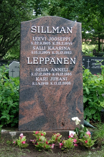 Mäntsälän Aurora - 60x120 cm